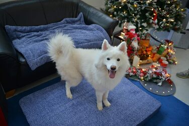 Підстилка для собак та котів Raikou з плюшевою подушкою, флісова, зручна та нековзна (100x70 см)