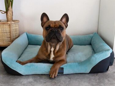 Корзина для собак Normani з ковдрою - лежанка для тварин, блакитна, 60x80 см