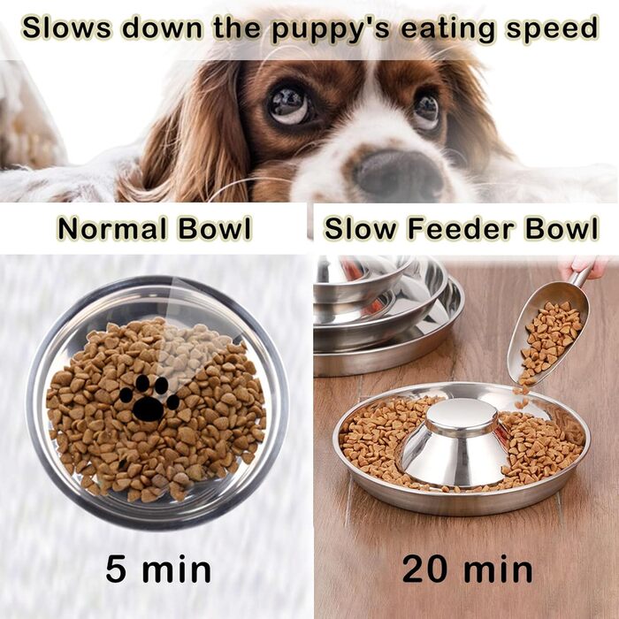 Набори мисок для цуценят Nexboraque (2 шт.) з нержавіючої сталі – 25,4 см, повільне годування, для кількох цуценят, собак та котів