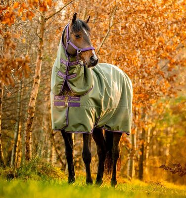 Кінська попона Horseware Amigo Hero Ripstop Plus, легка, 0 г, розмір 66, колір Bramble/Winterberry & Taupe