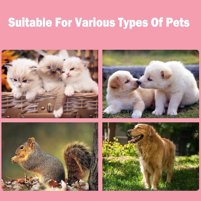 Машинка для стрижки собак, бездротова з LED-підсвічуванням, 2 швидкості, для догляду за дрібними тваринами (BLACK)