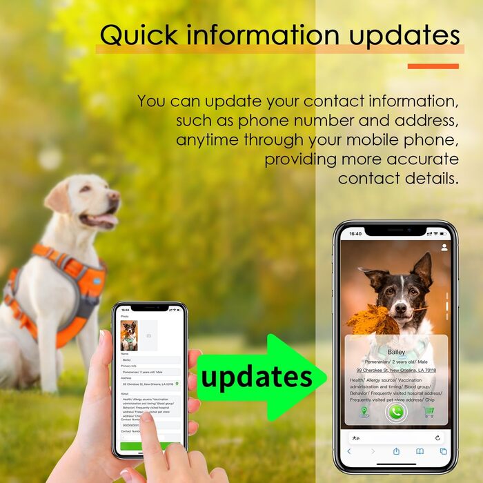 ThinkPet Шлея для собак проти тягнення, дихаюча, з QR-кодом, ідентифікатором, відбивачем, ручкою, регульована для середніх і великих порід, задній/передній карабін