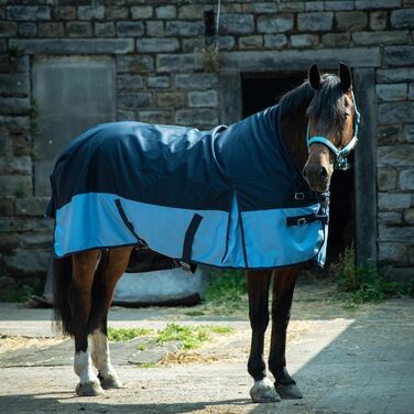 Кінська зимова попона eQuitack, водонепроникна 600D, утеплення 50 г, темно-синя/блакитна, 155 см