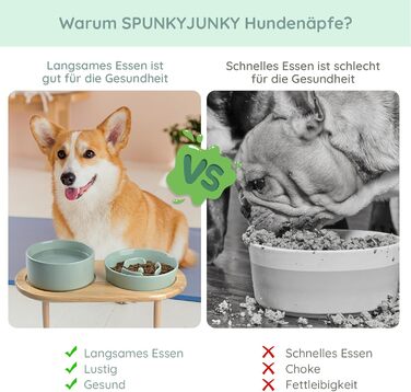 SPUNKYJUNKY Керамічна миска для собак і котів з підставкою з бамбука, антиковзаюча, світло-зелена