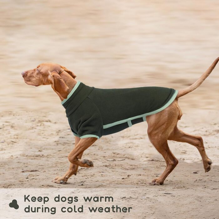 Пуловер для собак маленьких порід, Чихуахуа, Французький бульдог. Зимовий одяг для собак (XL, хакі)