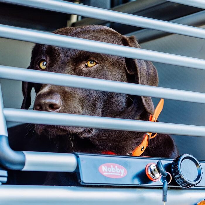 Алюмінієвий бокс NOBBY 62324 з заокругленими кутами, 59x55x49 см, 66x61x20 см