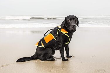 Julius-K9 IDC Мультифункціональний жилет для собак 3в1, розмір L, чорний та UV-помаранчевий