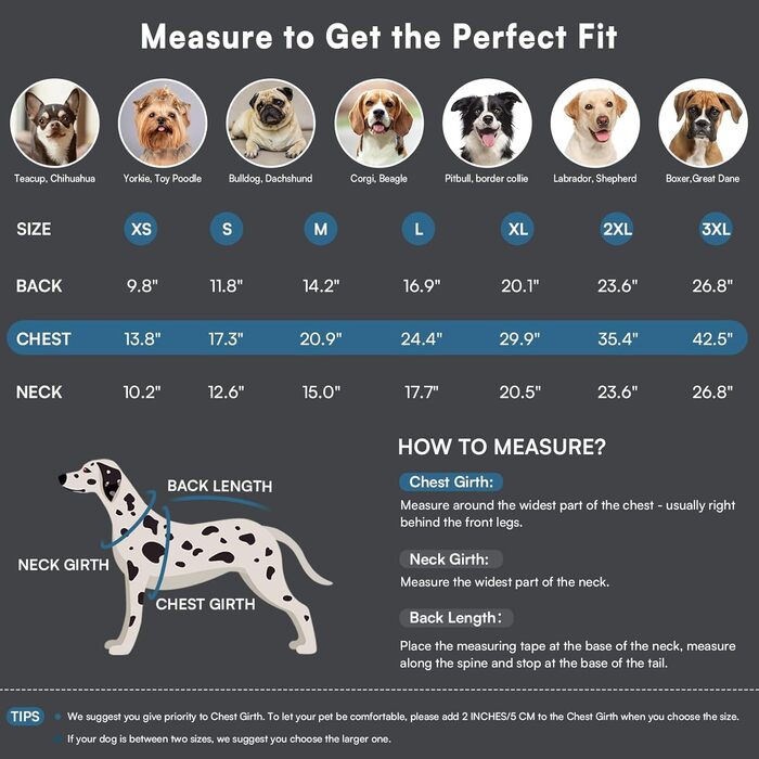 Зимовий теплий водонепроникний одяг для собак Queenmore, куртка для собак з шлейкою, 3-шаровий, світловідбиваючий, для великих порід (Лабрадор, Хаскі, Голден Ретрівер) (2XL) (XS, Коеліновий блакитний)