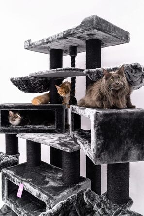 Дряпка для котів Petrebels Maine Coon XXL Alley 200 см, преміум, для великих котів, чорна