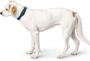 Нашийник для собак HUNTER HILO VARIO BASIC, блакитний, розмір S-M: дихаючий, з 3D-сіткою, відбиваючий, регульований