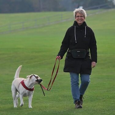 Сумка для собак, кишенька для ласощів з тримачем для відходів, регульований поясний ремінь, сумка на животі для жінок, чоловіків, проста у використанні для дресирування цуценят, подарунок для любителів собак, чорна