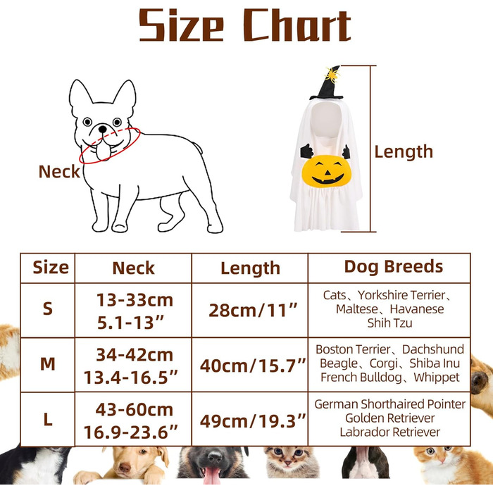 Костюм на Хелловін для домашніх тварин BT Bear, павук, для собак, розмір L, білий