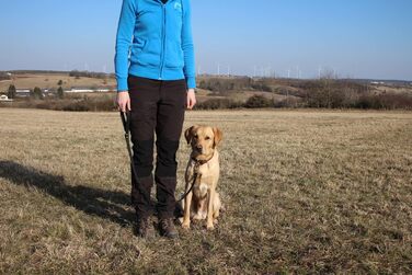 Шкіряний повідок Activity4Dogs для середніх і великих собак, 1 м, 2 см, чорний, короткий, німецький, для дресирування