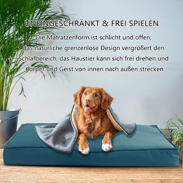 Ортопедичне ліжко для собак з Memory Foam, блакитне, розмір M. Ліжко для собак з шаруватого пінополіуретану, знімний, пральний чохол. Підходить для собак маленьких, середніх та великих порід.