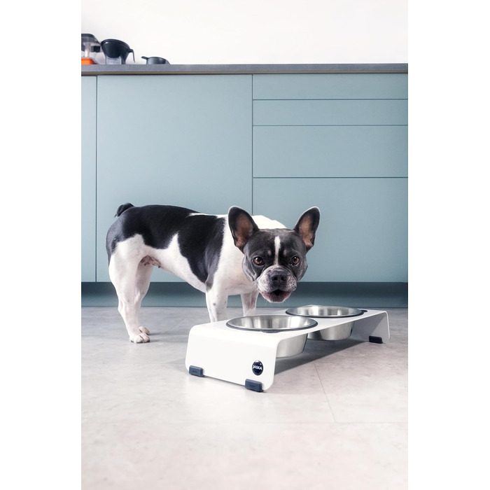 Підвищена годівниця для собак Jaska ARC з нержавіючої сталі та сталі (білий, S)