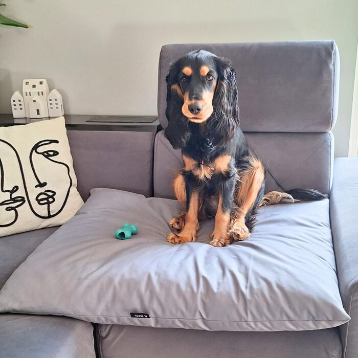 Водонепроникне лежанка для собак 80x60 см, сірого кольору - 4L Textil ZOE