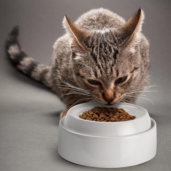 Миска для котів CatGuru Schnurrhaar – широка, плоска, антистресова, з нековзкою основою, зменшує втомленість вусів, для корму та води