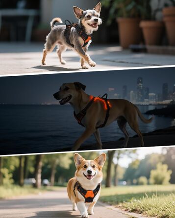 Світловідбиваючий нашийник для собак Joytale з LED, для середніх та великих собак, без натягування, з ручкою, регульований, для нічних прогулянок, зелений/помаранчевий, M/XL