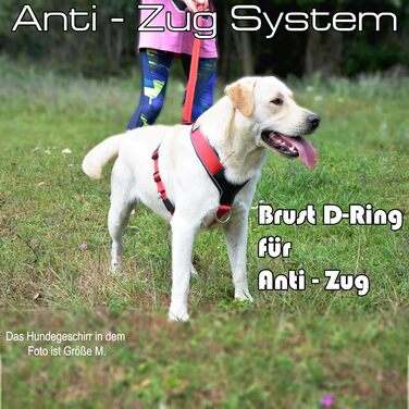 Нашийник для собак III Y - міцний, елегантний та комфортний. Унікальний дизайн для середніх та великих собак. Червоний (L)