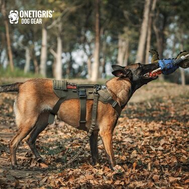 Шлейка для собак OneTigris T-Bone тактична, зелена, M (14-27 кг) - для полювання, прогулянок, тренувань