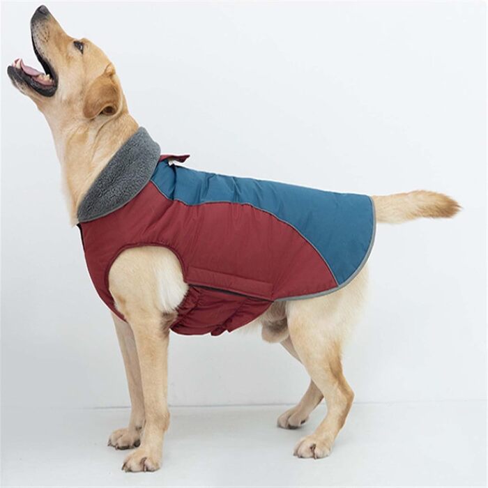 Водонепроникний зимовий одяг для собак - тепла куртка з флісовою підкладкою та захистом живота. Підходить для малих, середніх та великих собак (червоний, M)