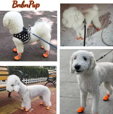 Чоботи для собак: захист лап, антиковзка підошва, для активного відпочинку на природі