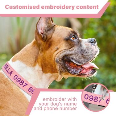 Персоналізоване собаче нашийник з металевою застібкою, нашийник з іменем та номером телефону, регульовані розміри для великих та середніх собак (Collar 06)