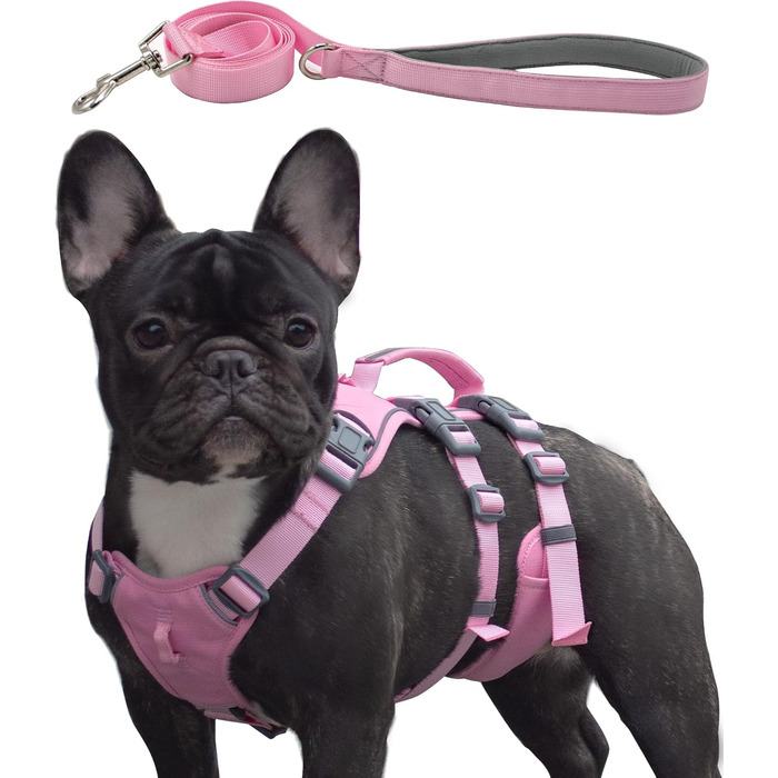 Нашийник для собак Wuffley з повідком, безпечний нашийник від вислизання, анти-тяговий нашийник з ручкою та світловідбиваючими елементами, легкий, регульований нашийник для середніх собак (рожевий, XS) Дуже маленький рожевий