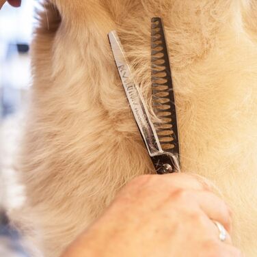 Професійна ножиця для грумінгу собак EHASO | 17 см, 22 зубці | Високоякісна сталь з Solingen