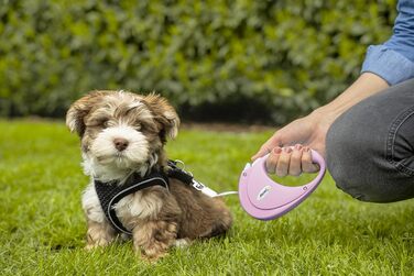 Висувна собача шлейка FLEXI New Comfort, 5 м, рожева, для собак до 25 кг, розмір M