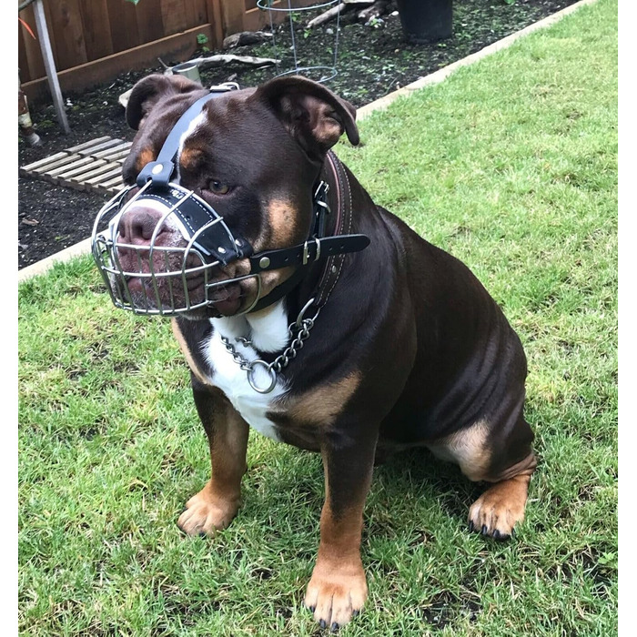 Корзина для собак American Bully, чорна шкіра/чорний дріт, BA