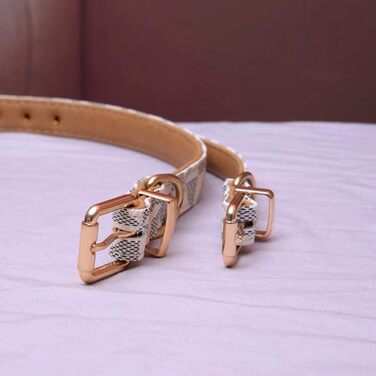 Нашийник для собак та котів Viwind з м'якої шкіри, регульований, повідковий комплект (1.5/2см), білий