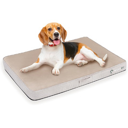 колір: бежевий