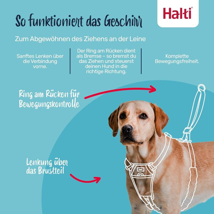 Нашийник HALTI No Pull для собак - запобігає потягування, м'який, світловідбиваючий, регульований (Dunkelorange, M)