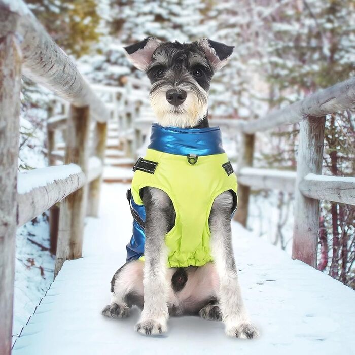 Тепла зимова куртка для собак з отвором для шлейки, водонепроникна, з відбивачами, для шиба іну, бульдога та мопса