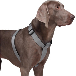 колір: сірий