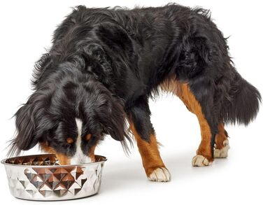 Миска для тварин Hunter Namy 3800 мл, нержавіюча сталь, срібляста