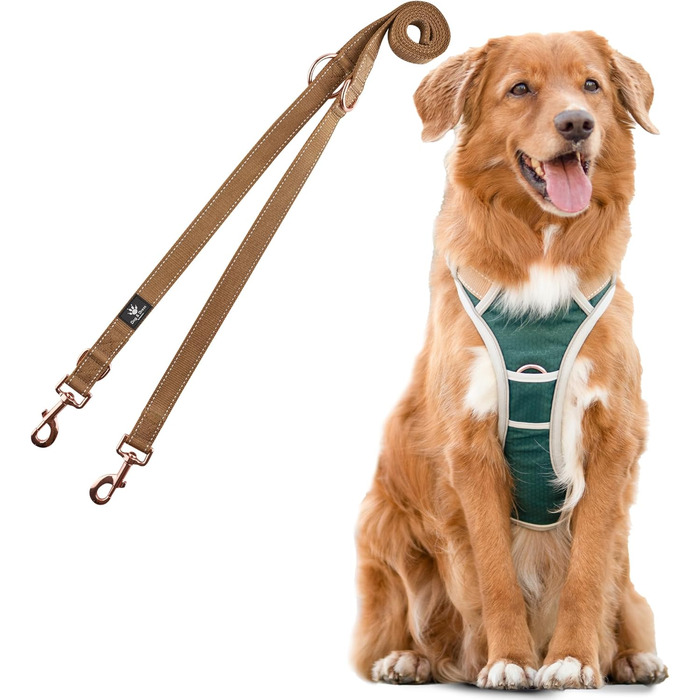 Набір повідка та шлейки для собак – дихаючий, регульований, з м'якою підкладкою та світловідбиваючими елементами – для великих та середніх собак (зелений, S (51-66 см обхват грудей))