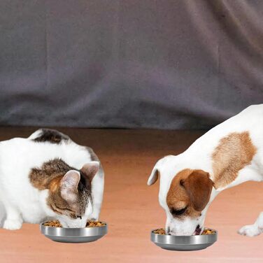 Миски для котів з нержавіючої сталі, 2 шт. - миски для сухого та вологого корму, нержавіюча сталь 304 (Золотий)