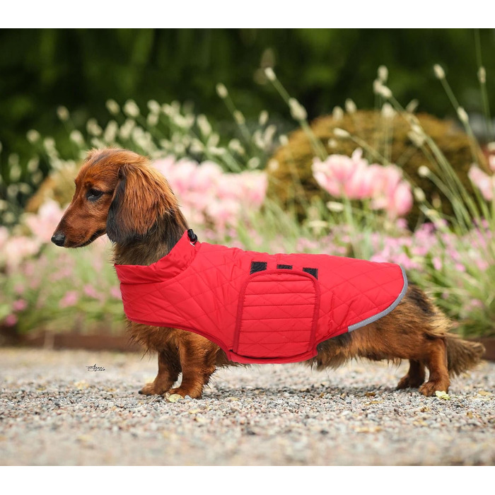 Водонепроникна зимова куртка для такси для собак Babepet з флісовою підкладкою, світловідбиваючий пуловер з отвором для шлейки, червоний, розмір L (спина: 45 см)