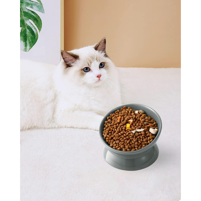 Підвищений годівниця для котів LoeJan, 142 мл, кераміка, анти-блювотна, для захисту хребта, підходить для котів, маленьких собак та кошенят, сірий колір, 1 шт.