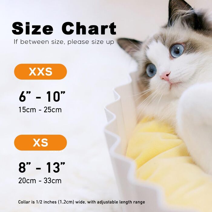 Чорний метелик для котів з черепами та перехрещеними кістками, нашийник-запобіжник, тематика Хелловін, аксесуари для котів, розмір XS (20,3-33 см)