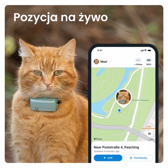 GPS-локатор для котів Tractive CAT Mini — світло-зелений