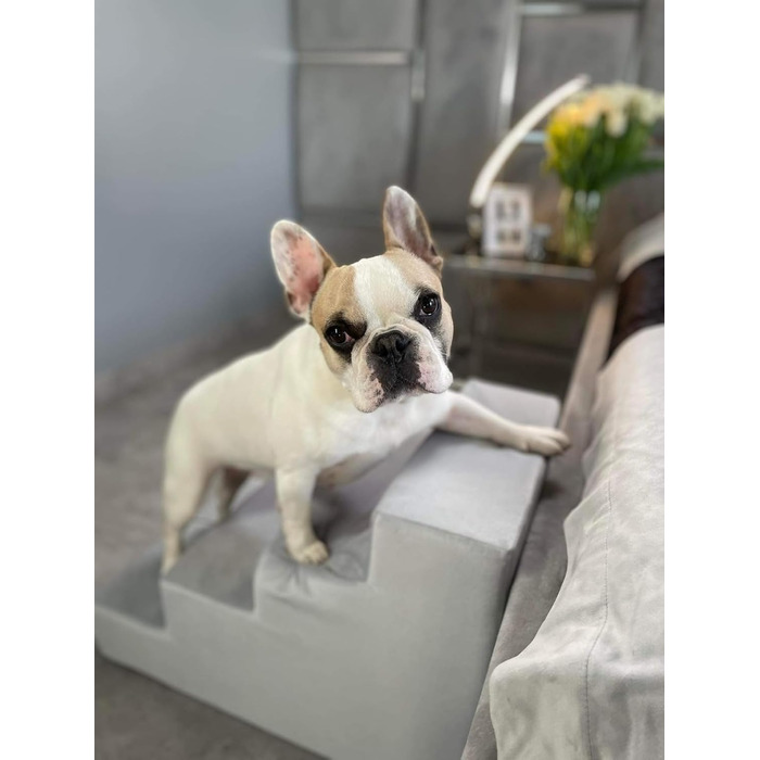 Сходинка для собак Velinda з 4 сходинками, також підходить для котів. Допомагає домашнім тваринам легко підніматися. Матеріал: піна. Колір: темно-синій