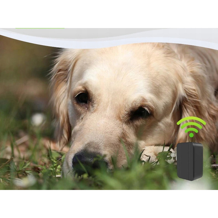 GPS-нашийник-локатор для собак з акумулятором 1200mAh, SOS-функція, керування через додаток, без абонплати
