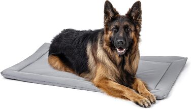 Крізьовий матрац для собак Cybarmour - стійкий до гризіння, великі породи, 89x59 см, вапняковий колір