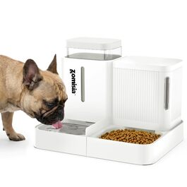 колір: величний/розкішний сад