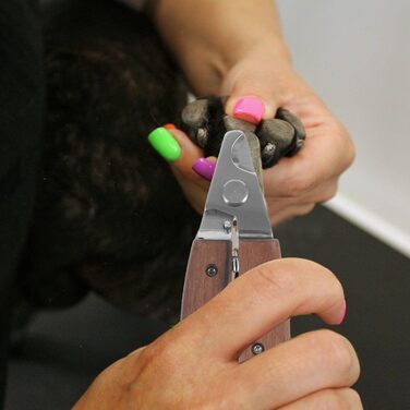 Ножиці для догляду за тваринами Happyyami: безпечні ножиці для котів та собак, ергономічний дизайн