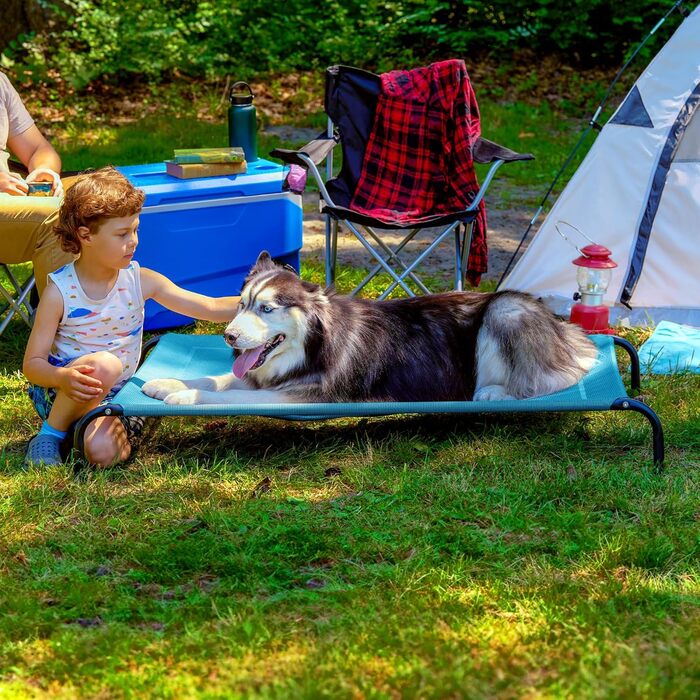 Підняте ліжко для собак і котів Furhaven, капрі-блакитне, XL