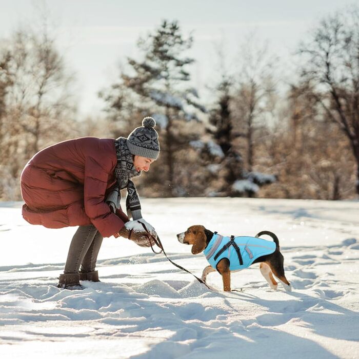 Теплий зимовий одяг для собак FeimaX: флісова куртка з блискавкою, захист від вітру та вологи, для маленьких та середніх собак (Блакитний, L)